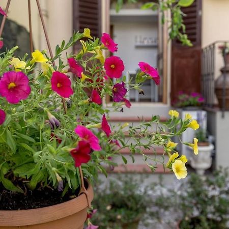 Loft Azalea Garden Wifi Air Conditioning Firenze Esterno foto